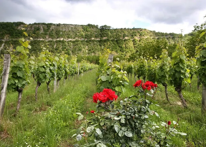 Sas Domaine Delmas Bed & Breakfast 3*