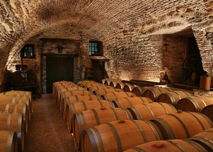 Sas Domaine Delmas Bed & Breakfast